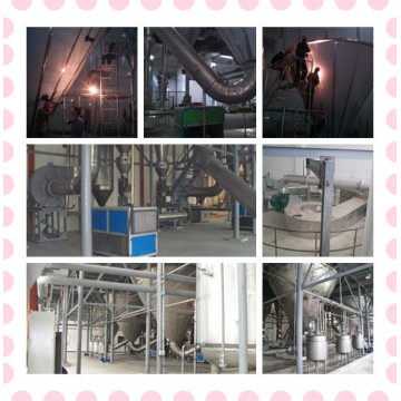 Zpg Pharmaceutical Spray Drying Machine